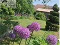 Image du bien UBI474706874